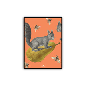 affiche miniature ecureuil sur sa poire - orange