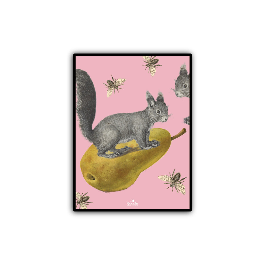 affiche miniature ecureuil sur sa poire rose