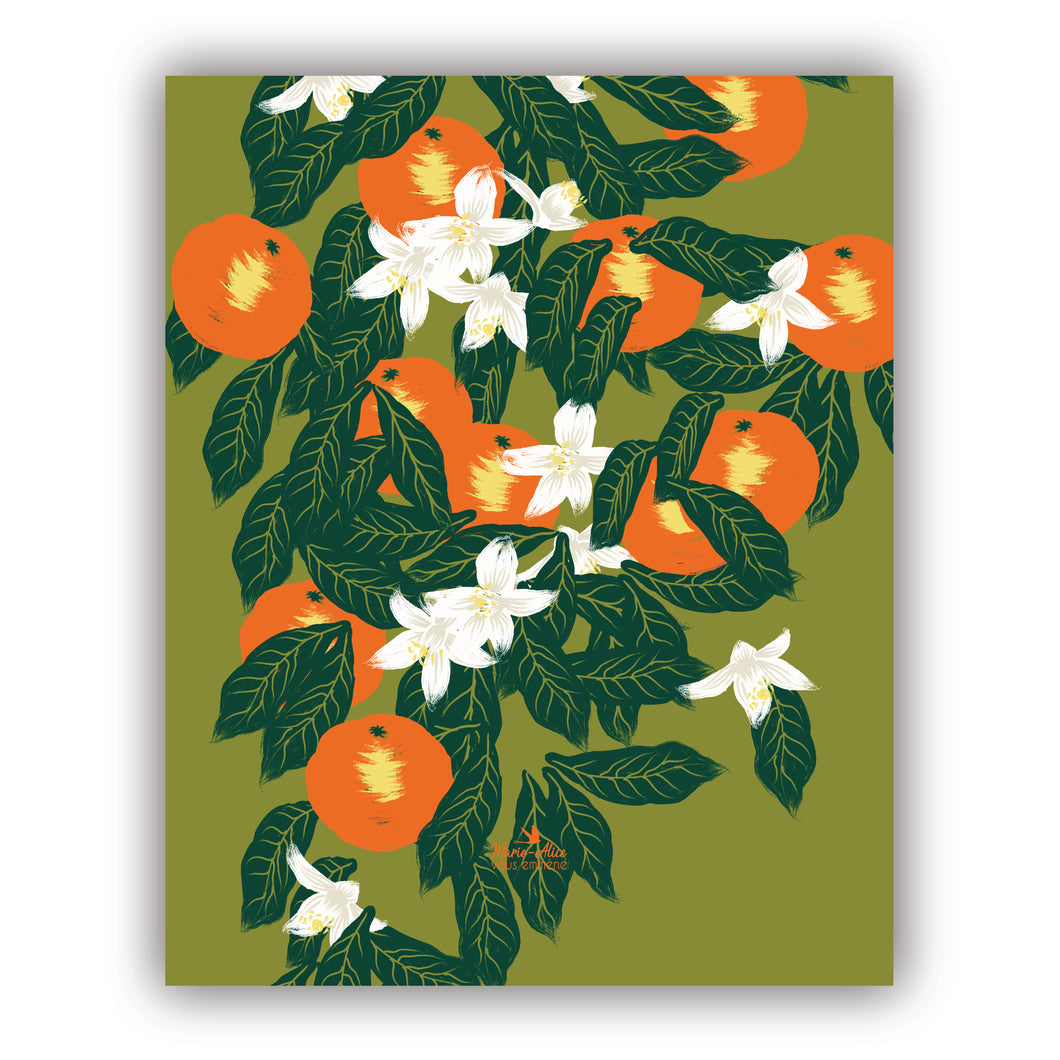 affiche dessinée et colorée par mes soins représentant des fruits: orange. L'arrière plan est de couleur vert  kiwi, les oranges sont orange et jaune. Le format est 40 x 50 cm . Elle est imprimée en France à Grenoble. 