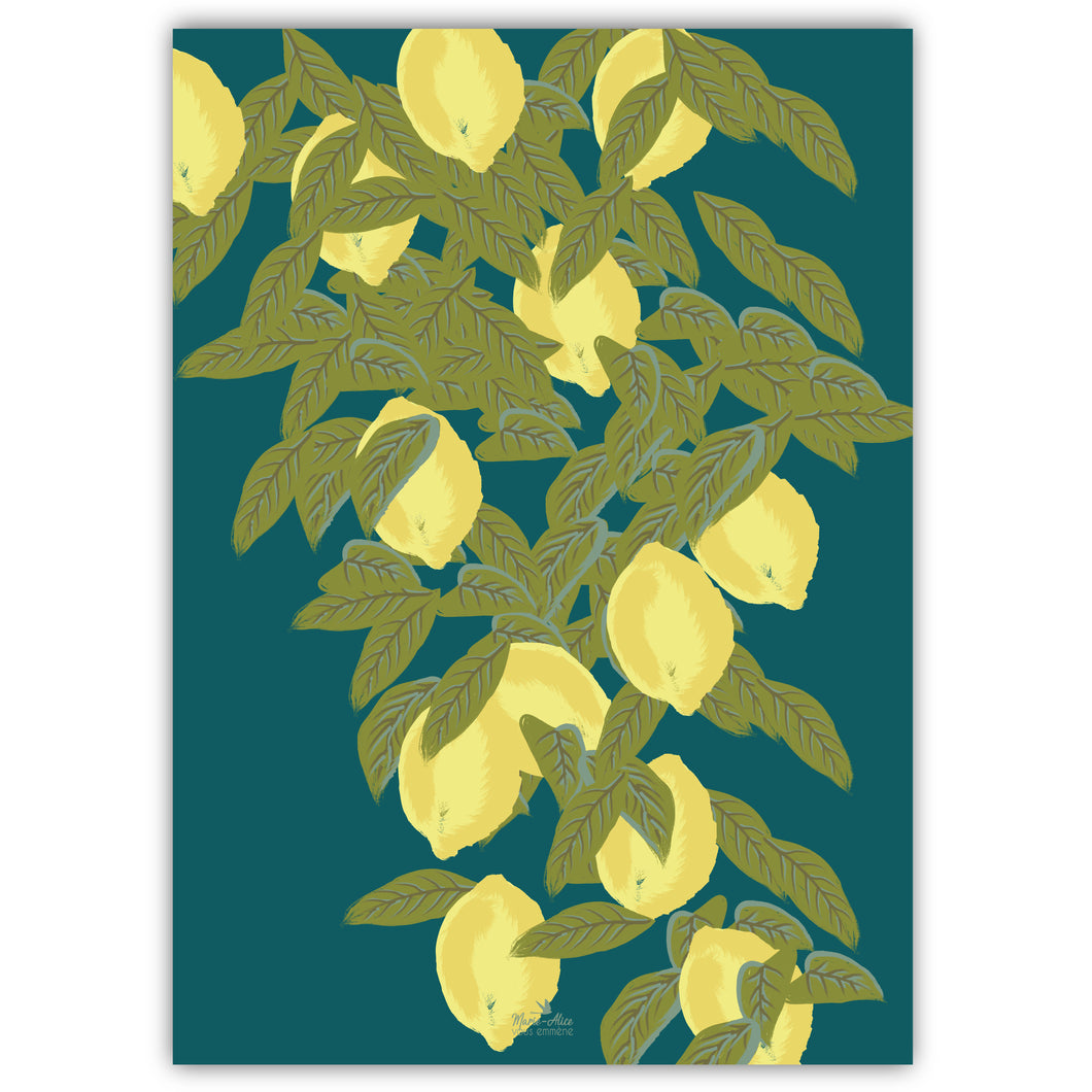 illustration , dessin de fruits, représentant des citron sur un fond uni bleu. 
Format : 50 x 70 cm
Impression française ( Grenoble )
Création : Marie-Alice vous emmène
